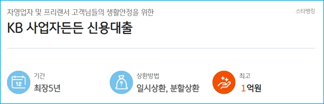 국민은행 사업자든든 신용대출1